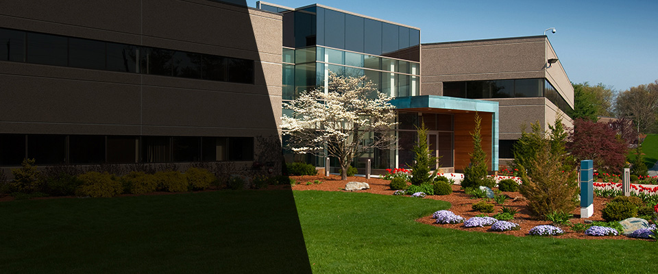 South Hill Landscapers